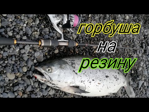 Ловля горбуши в море на резину от Батона.