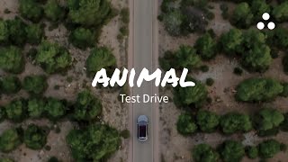 Liux Animal Test Drive