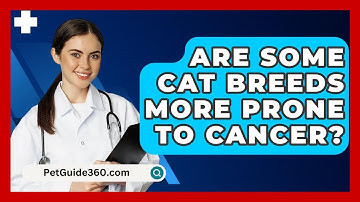 Are Some Cat Breeds More Prone To Cancer? - PetGuide360.com