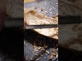 #puunveisto #aloittelija #beginner #woodcarving #shorts #shortsvideo