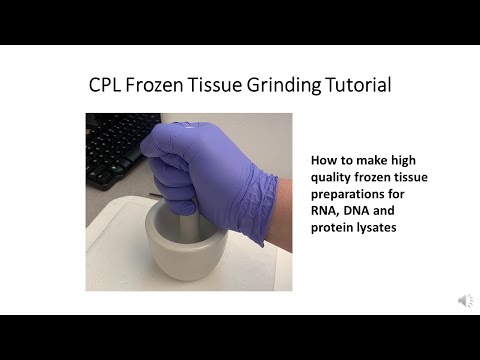 CPL Frozen Tissue Grinding Tutorial