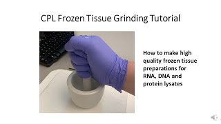 CPL Frozen Tissue Grinding Tutorial