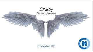 Skellig   Chapter 39