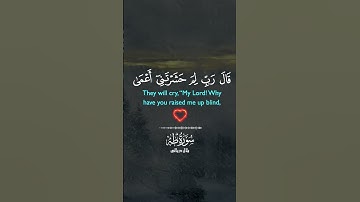 سورة طه. #اسلام #اكسبلور #راحة_نفسية #تيك_توك #تلاوة_خاشعة #لايك #قرآن #islam #muslim