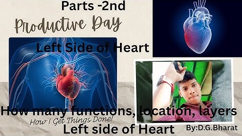 दिल इंसान का नहीं, एक सुपरपावर है! 💓🔥 | Parts -2#heart #study #video