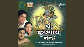 Shri Krishna sharanam mama - Jagjit Singh