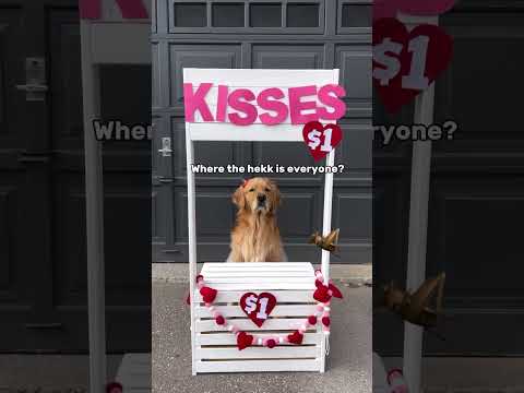 Daisy Updates Us On Her Job Search