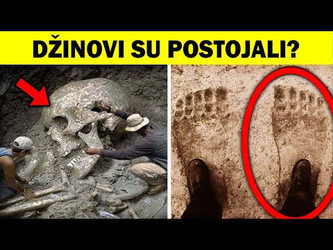 Video: Pronađeni Su Ostaci 