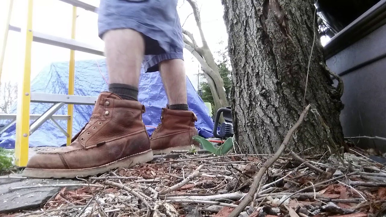 felling boots tree