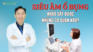 Siêu âm ổ bụng khảo sát được những cơ quan nào? | ThS.BS.CK2 Trần Ngọc Lưu Phương