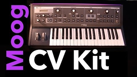 Moog little Phatty CV output Kit installation MF#48