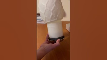 Desert Mist diffuser #Youngliving