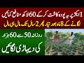 1 acre farming and 64 lakhs income from amazing farming
