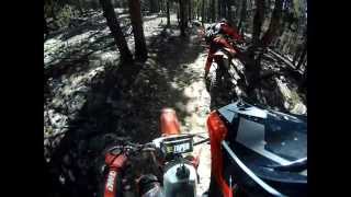 Timberline Trail 2014 #2