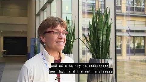 Kerstin Meyer - Human Cell Atlas: Transforming Biology and Healthcare