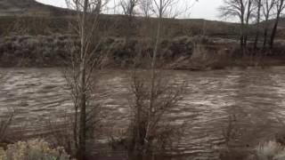 East fork Carson River by Riverview Mobile Home Park, Feb. 8, 2017