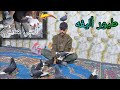 أجني طيور هديه ورحت للزعفرانيه شفت طيور أليفه 