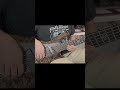 Sweet Dreams #youtubeshorts #shorts #bass #bajoelectrico #clasesdebajo #cover #music #bajista #funk
