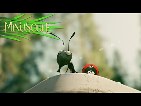 Minuscule Valley of the Lost Ants - Official Trailer