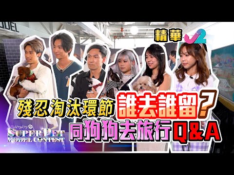 【精華 15｜超級毛特兒大賽 - 超毛八強誕生！！】