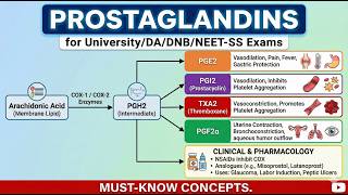 Prostaglandins for University/DA/DNB/NEET-SS Exams I Must-Know Concepts.