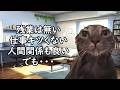 【ゆるブラック】ブラック企業じゃないのに人が辞めたくなる職場の特徴【猫ミーム】