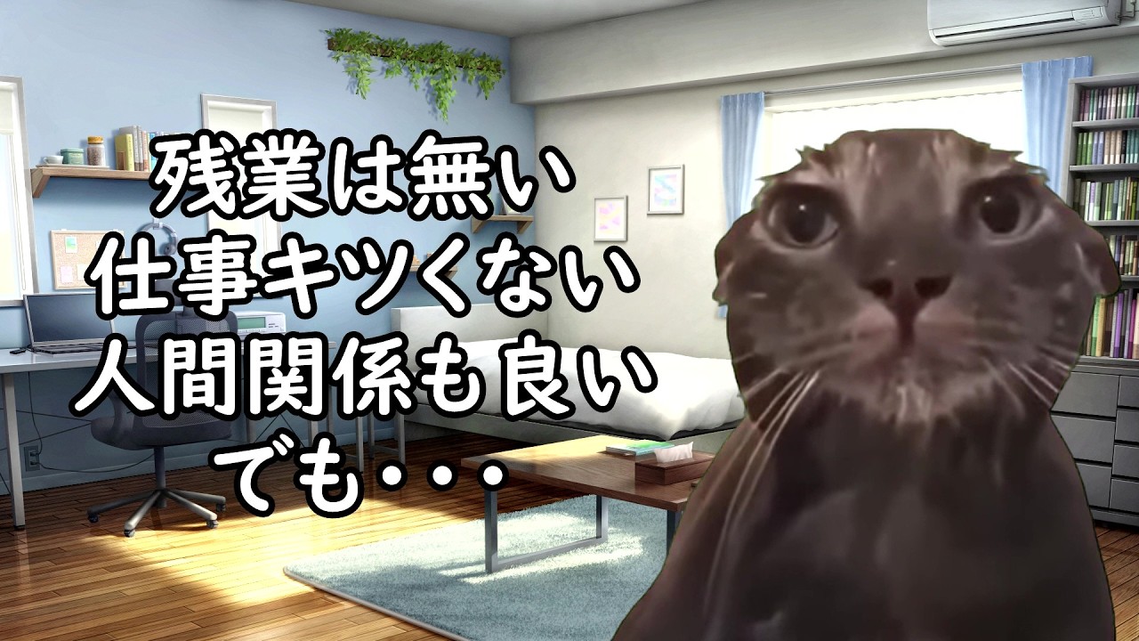 【ゆるブラック】ブラック企業じゃないのに人が辞めたくなる職場の特徴【猫ミーム】