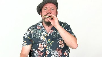 Harmonica Lesson - Tongue Splits - Concept 2 - Steven Troch