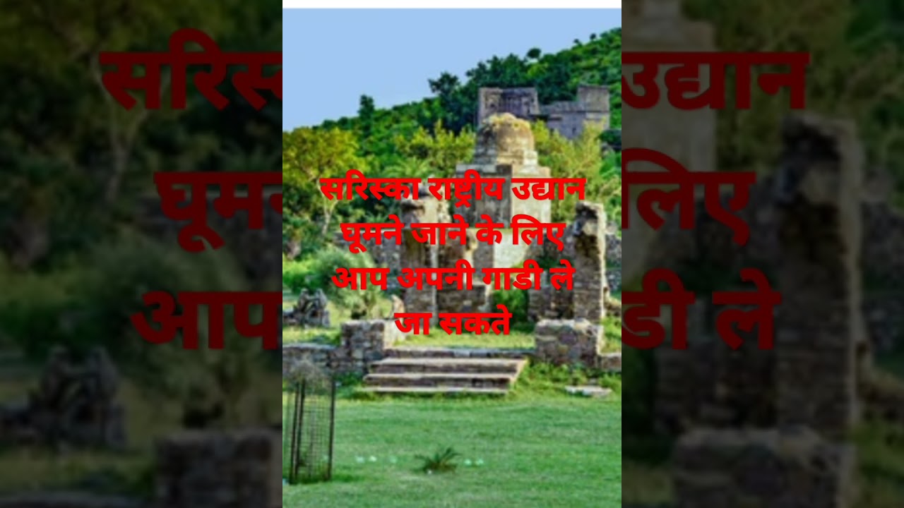 You can take your own car to visit Sariska National Park.,,😘😝😜😜🌸🐕‍🦺❤️❤️🌿🐅🦮🐴