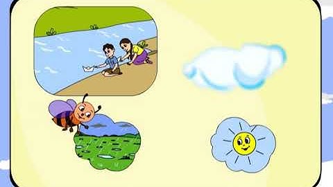 Class 3 EVS Chapter - 9 "It