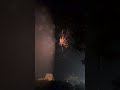 Beautiful Diwali fireworks sparkling in the sky! ✨️✨️🌟