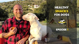 Healthy snacks for dogs ! Ep. 1 Oranges