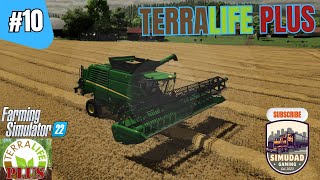 Harvesting Our First Winter Wheat! | FS22 Terralife Plus Ep 10