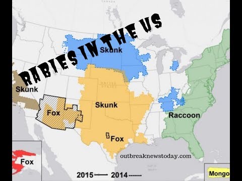 Rabies in the US