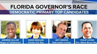 Florida primary elections take on gun control debate
