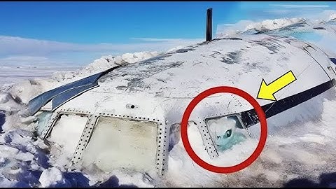 Un homme tombe sur un objet étrange, choqué en découvrant ce qu’il contient....