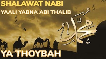 SHOLAWAT YA ALI BIN ABI THALIB, YA THOYBAH MERDU, LIRIK DAN TERJEMAHAN