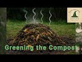 Permaculture principle 4 What My Garden Taught Me