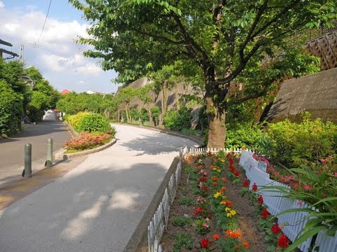 烏山川緑道