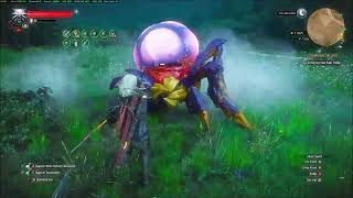 Witcher 3 - Chort Decoction