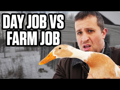 Day in the Life of a Part-Time Farmer (NOT SURE IF I CAN KEEP DOING THIS)