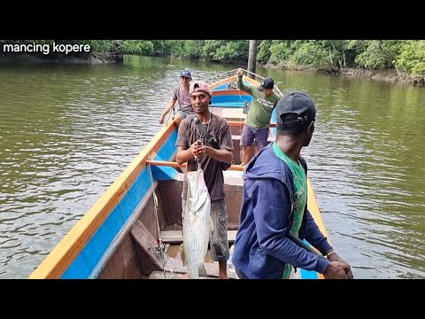 FISHING IN THE HINTS OF PAPUA FULL STRIKE BABON SNAPPER | FISHING IN DEPTH OF PAPUA STRIKE WHITE ...