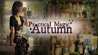 A Practical Magic kind of Autumn🌙🍂 Potions, Divination & Magic A Practical Magic kind of Autumn🌙🍂 Potions, Divination & Magic