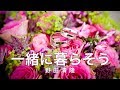 野田清隆「一緒に暮らそう」