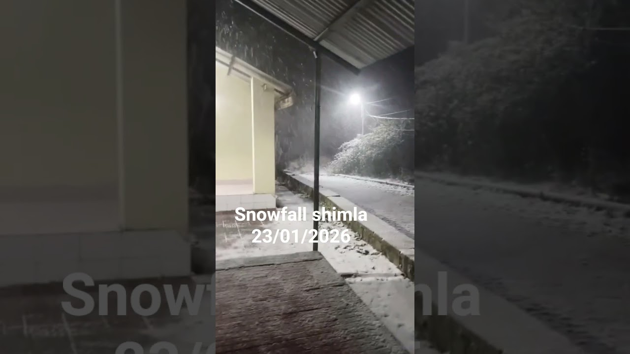 first snowfall shimla Himachal pradesh viral video 23/01/2026