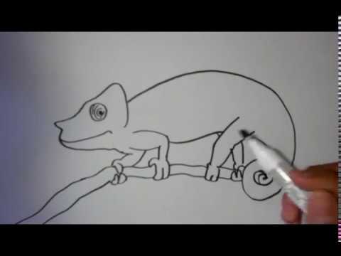 How to Draw a Chameleon - YouTube