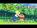 レモンちゃんの本名は何だったのか！？【黄金のスパイ大作戦】