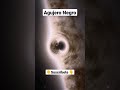 Agujero Negro #agujeronegro #space #astronomia #shorts #viral