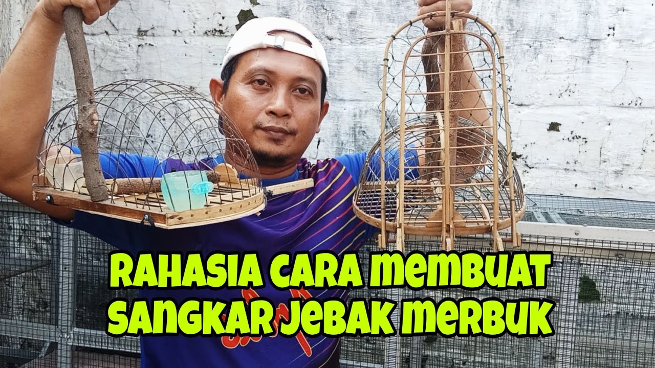 Rahasia membuat sangkar jebak perkutut kandang merbuk