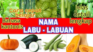 Download Lagu NAMA SAYURAN DALAM BAHASA KANTONIS || BELAJAR BAHASA KANTONIS SAYURAN LABU LABUAN @humairaharyu MP3 Download Lagu NAMA SAYURAN DALAM BAHASA KANTONIS || BELAJAR BAHASA KANTONIS SAYURAN LABU LABUAN @humairaharyu MP3